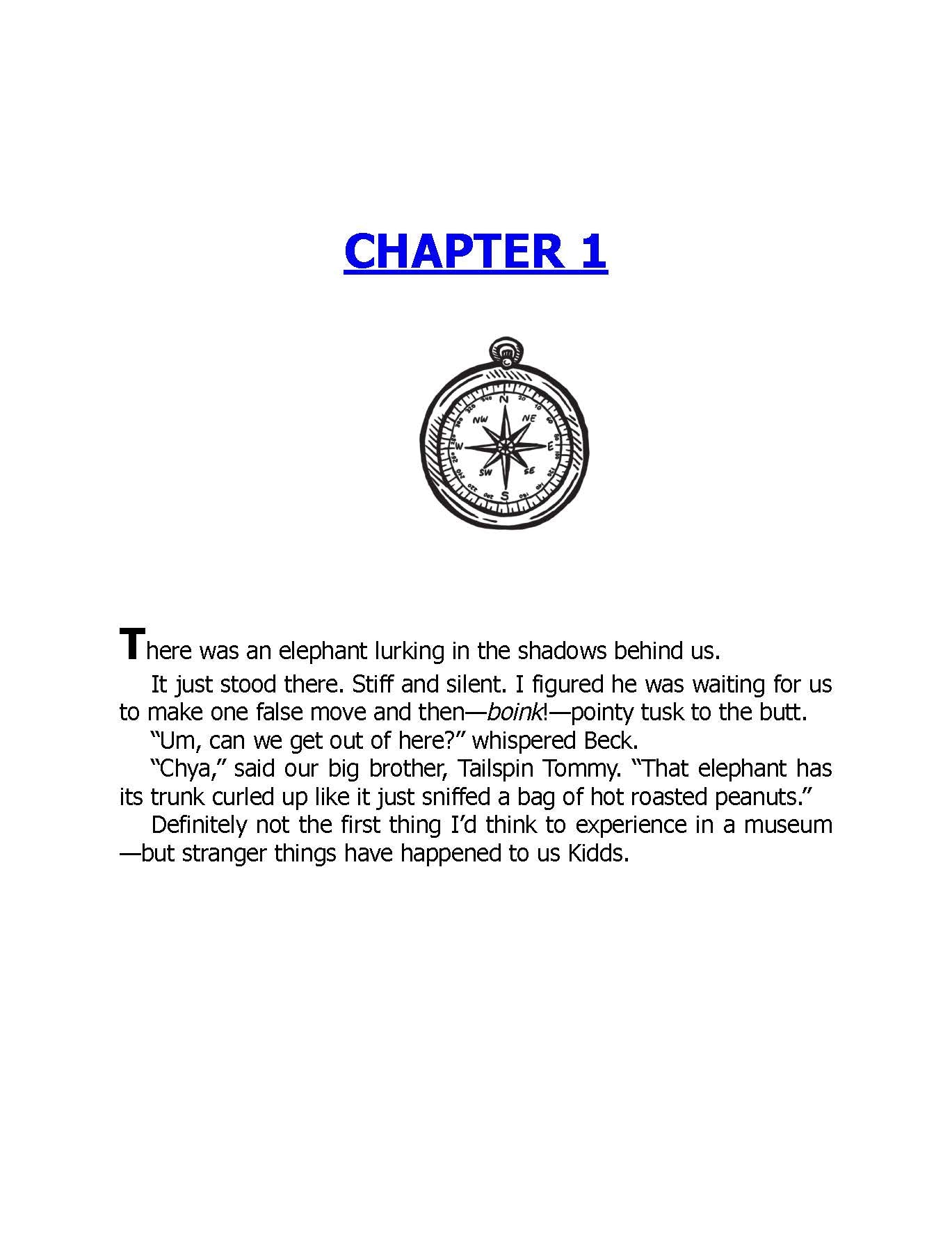 Kids American History Adventure PDF – Illustrated Mystery Ebook Hope Diamond Ages 8-12