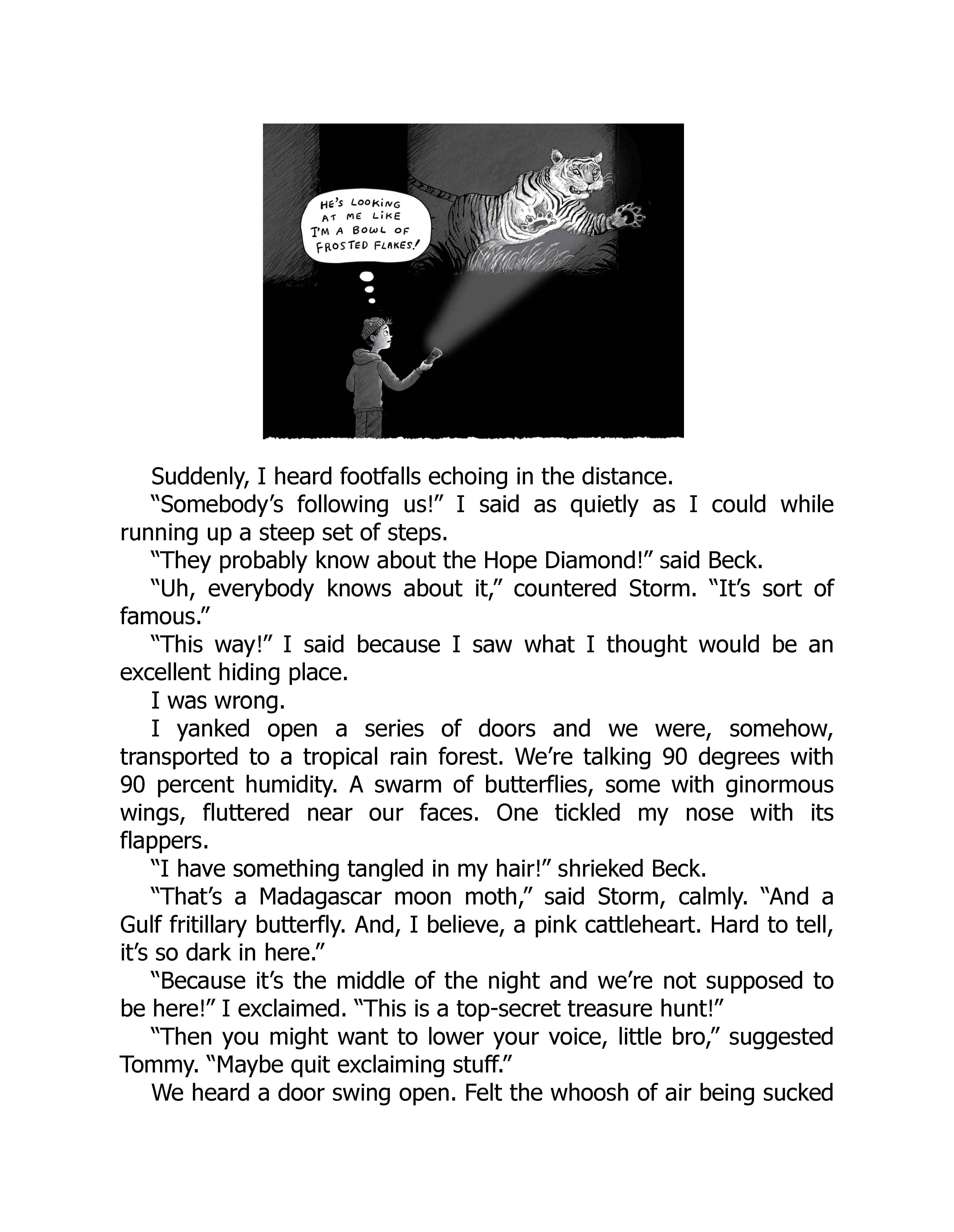 Kids American History Adventure PDF – Illustrated Mystery Ebook Hope Diamond Ages 8-12