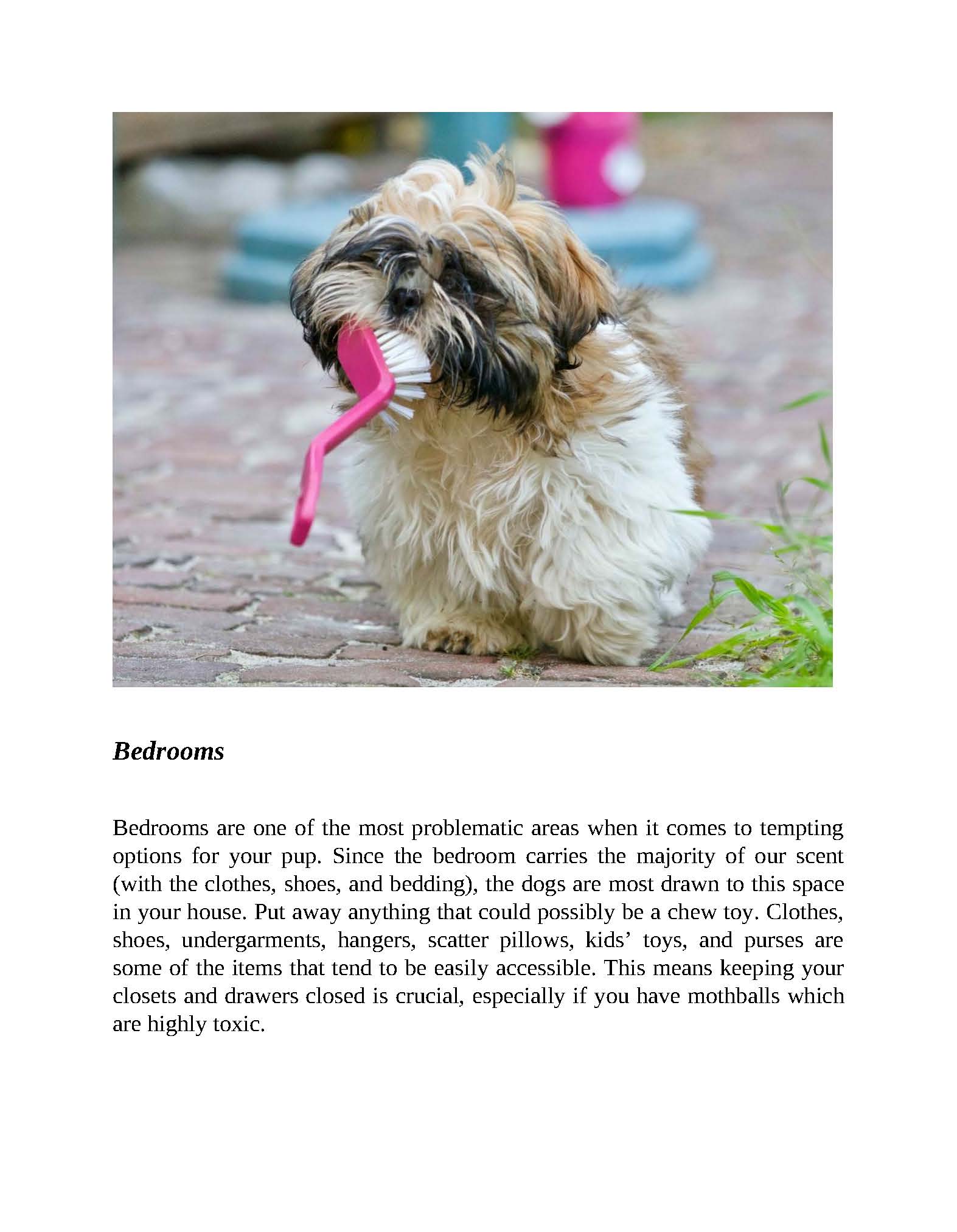 The Complete Dog Training & Care Guide – From Puppy to Adult | Instant Download PDF