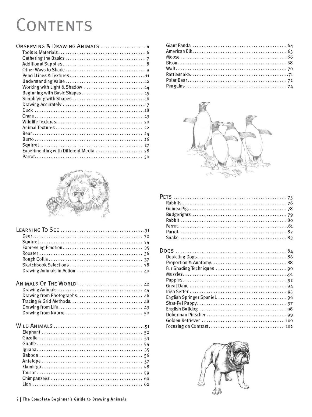 Drawing Animals from Scratch: A Complete Beginner's Guide to Graphite & Colored Pencil