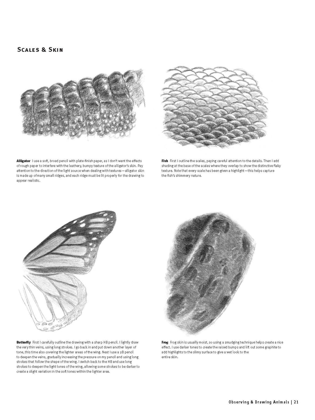 Drawing Animals from Scratch: A Complete Beginner's Guide to Graphite & Colored Pencil
