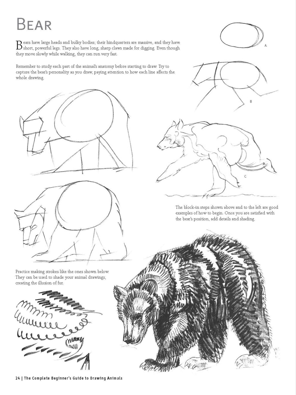 Drawing Animals from Scratch: A Complete Beginner's Guide to Graphite & Colored Pencil