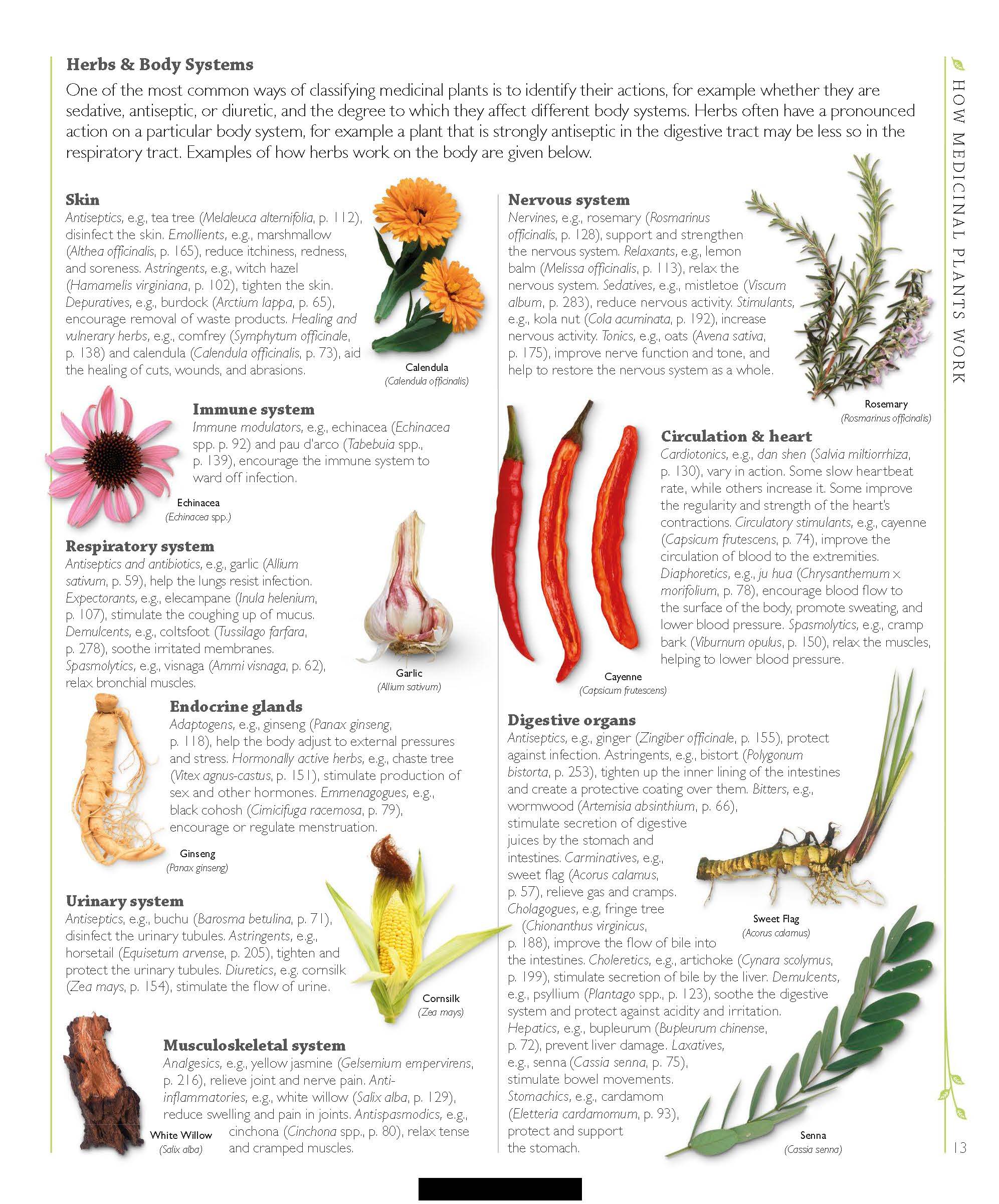 Herbal Medicine Encyclopedia: 550 Herbs & Remedies for Common Ailments (PDF)