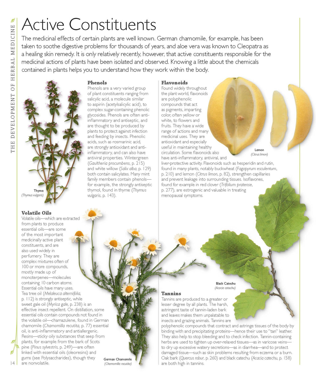Herbal Medicine Encyclopedia: 550 Herbs & Remedies for Common Ailments (PDF)
