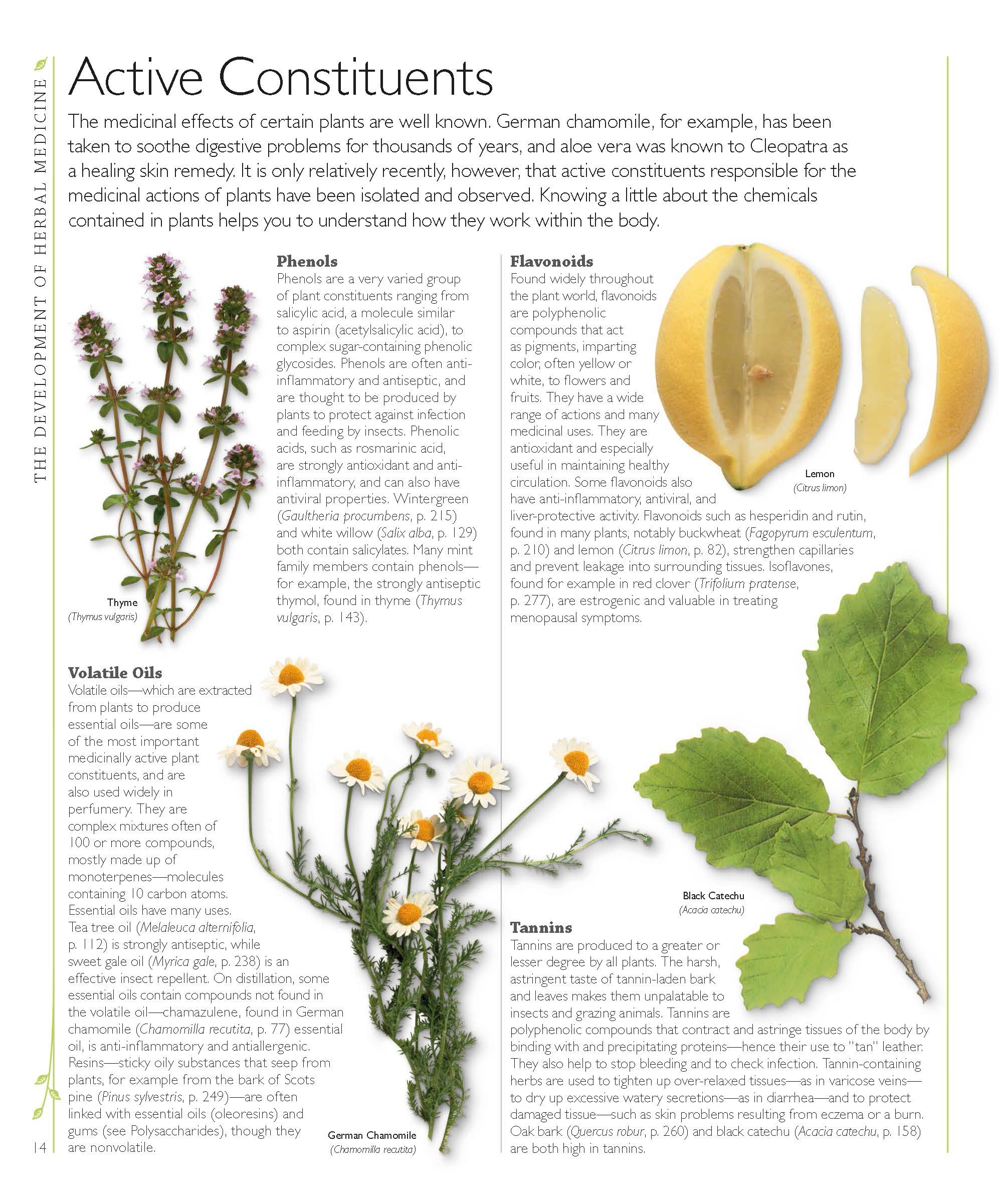 Herbal Medicine Encyclopedia: 550 Herbs & Remedies for Common Ailments (PDF)
