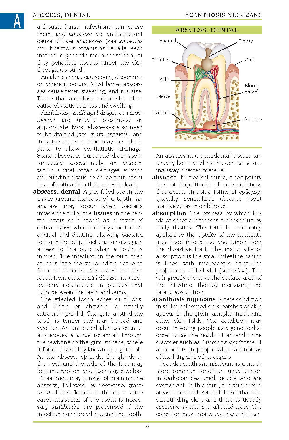 Illustrated Medical Dictionary