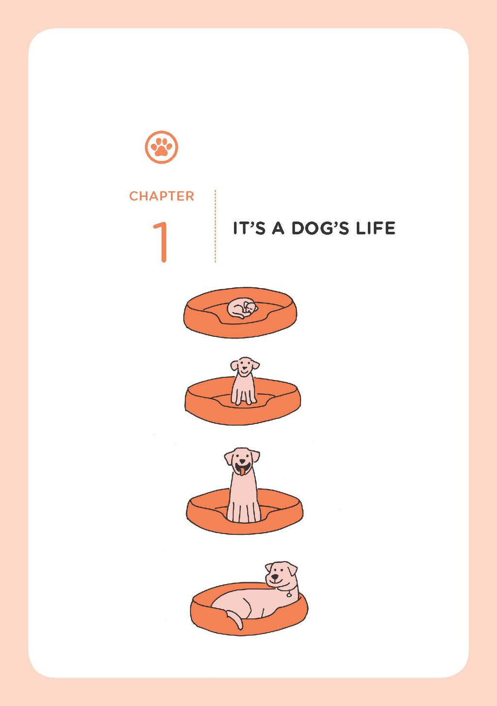 Understanding Your Dog: Biology, Training, Behavior & Health – Illustrated Guide | Instant Download PDF