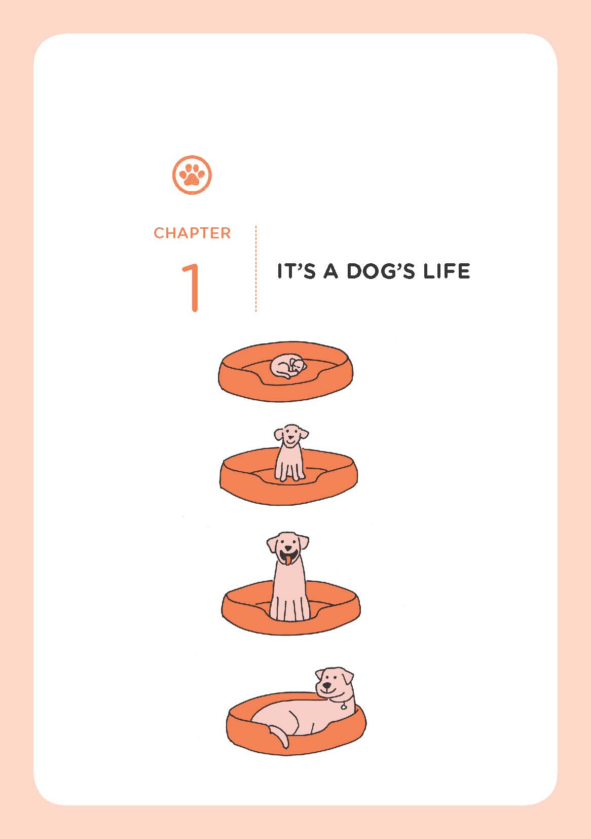Understanding Your Dog: Biology, Training, Behavior & Health – Illustrated Guide | Instant Download PDF