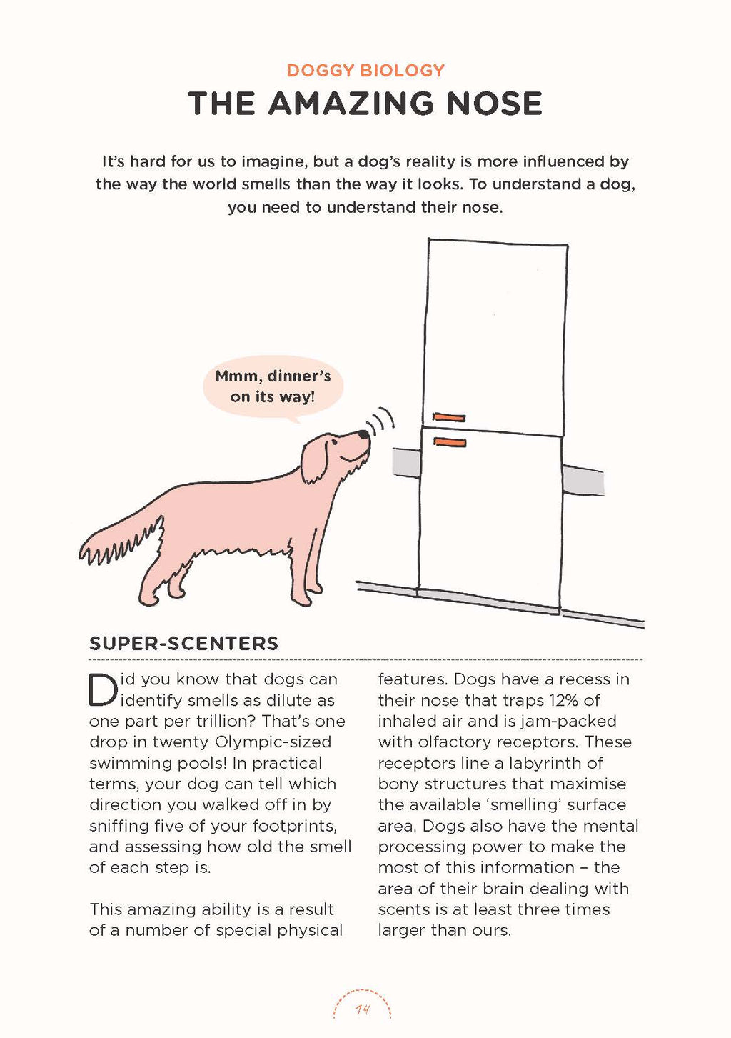 Understanding Your Dog: Biology, Training, Behavior & Health – Illustrated Guide | Instant Download PDF