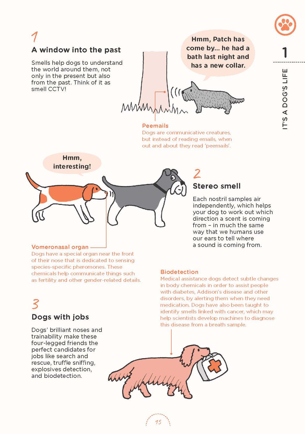 Understanding Your Dog: Biology, Training, Behavior & Health – Illustrated Guide | Instant Download PDF