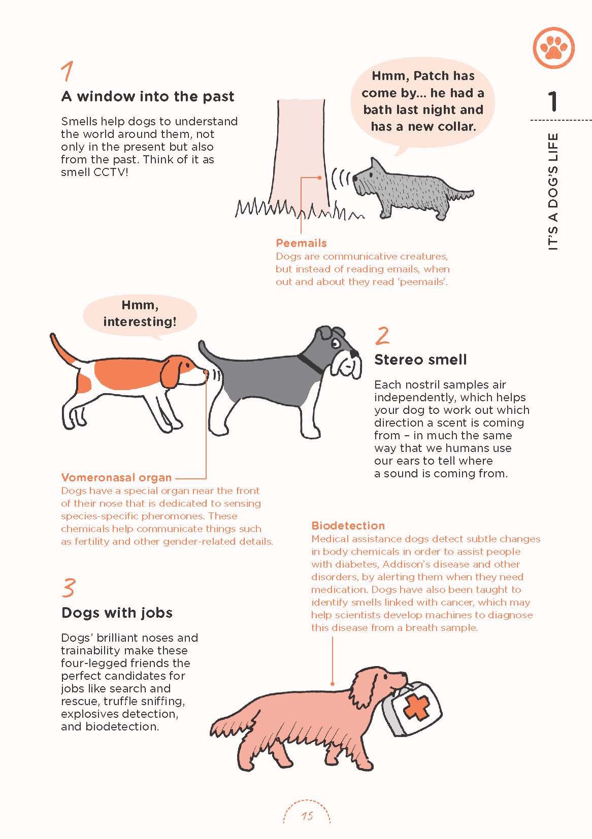 Understanding Your Dog: Biology, Training, Behavior & Health – Illustrated Guide | Instant Download PDF