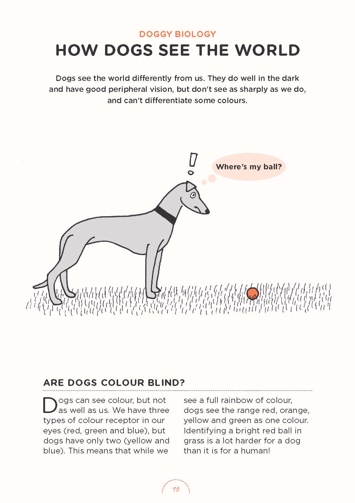 Understanding Your Dog: Biology, Training, Behavior & Health – Illustrated Guide | Instant Download PDF