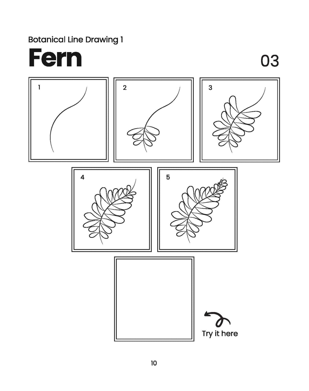 Botanical Line Drawing I by MZ Creates